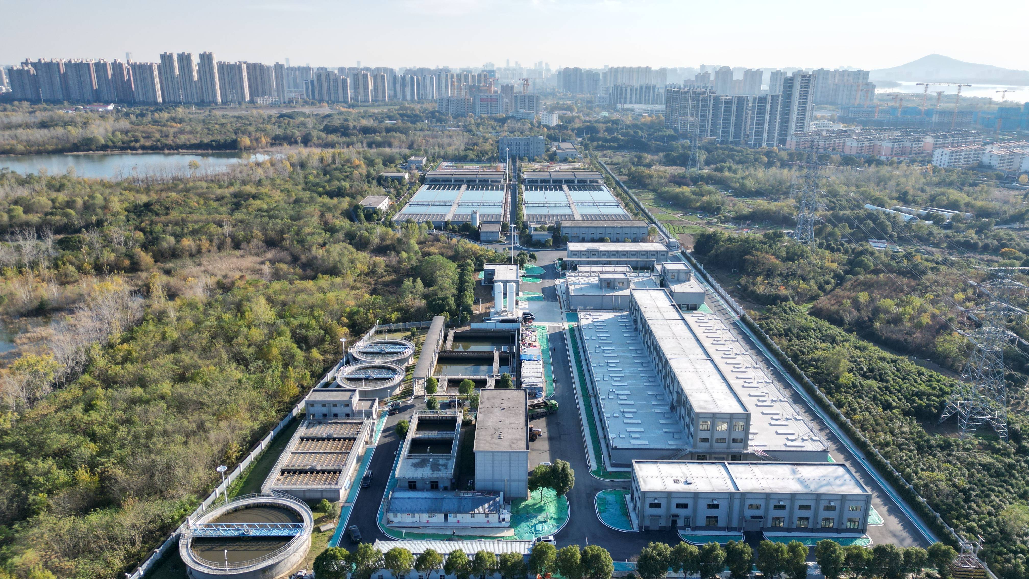 双鸭山市合肥专业企业价值增长(合肥市重点企业产业目录)