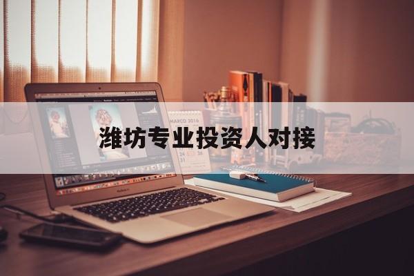 双鸭山市潍坊专业投资人对接(潍坊专业投资人对接中心)