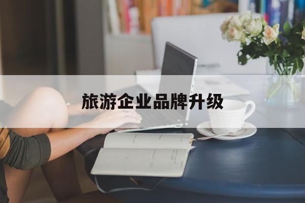 双鸭山市旅游企业品牌升级(旅游企业品牌升级措施)