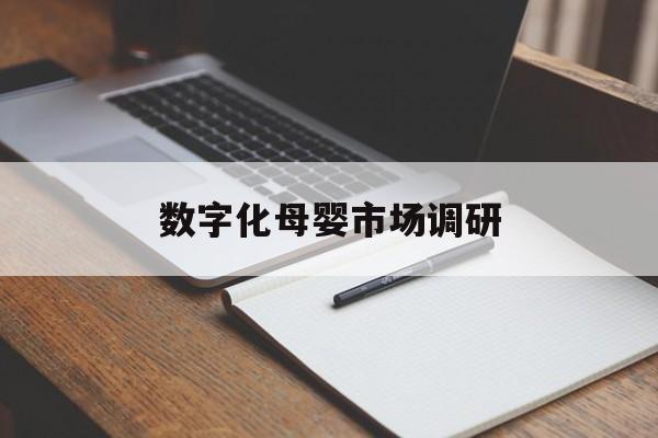 双鸭山市数字化母婴市场调研(数字化母婴市场调研报告)